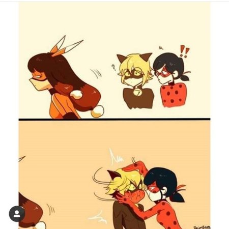 Леди баг кот Нуар и Вольпина