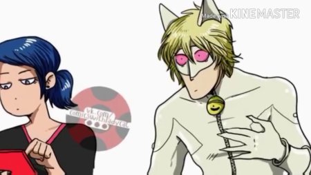 Маринетт и Адриан кот Блан