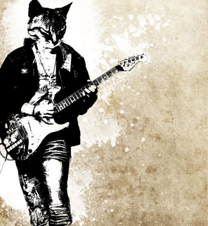 Кот с электрогитарой