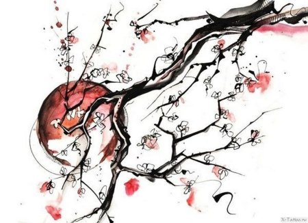 Сакура тату эскизы