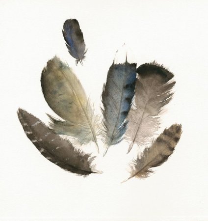 Перо акварель