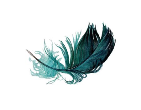 Перо акварель