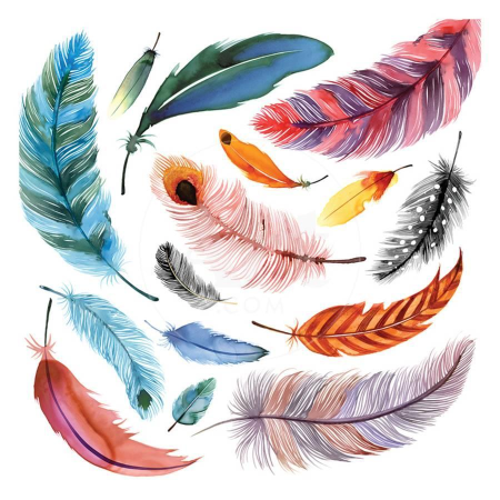 Перо птицы Графика