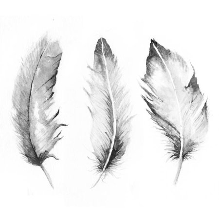 Акварельные перья
