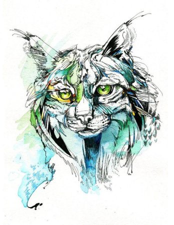 Тату Рысь Графика