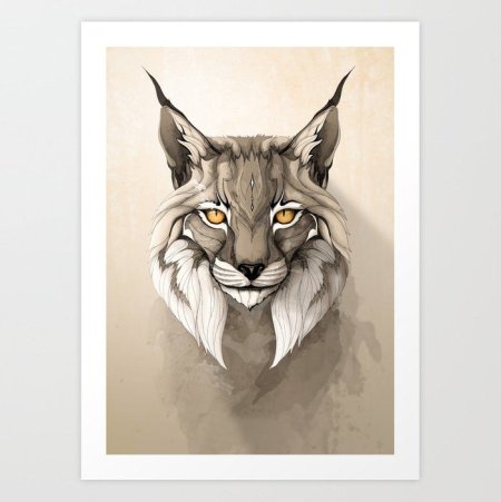 Рысь эскиз в цвете