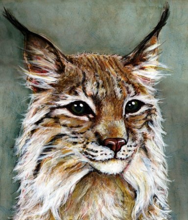 Рысь абстракция