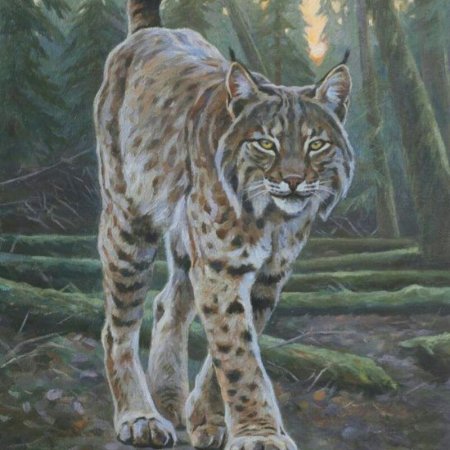 Рысь в тайге живопись