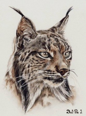 Рысь арт эскиз