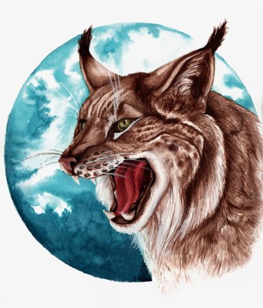 Рысь вектор