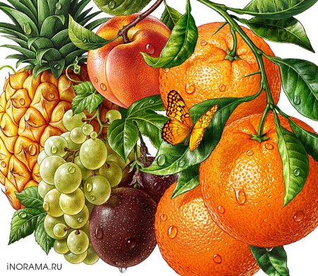 Красивые рисунки фруктов