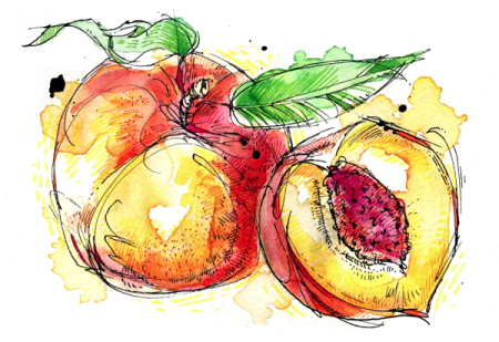 Скетчи акварелью фрукты
