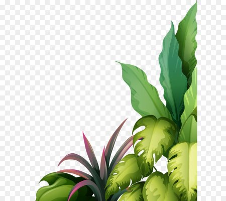 Растительность вектор