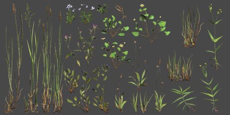 Трава концепт арт