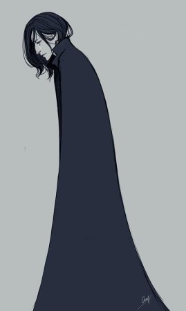 Северус Снейп арт в полный рост