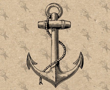 Морской якорь