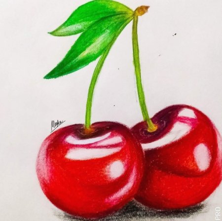 Вишня цветными карандашами