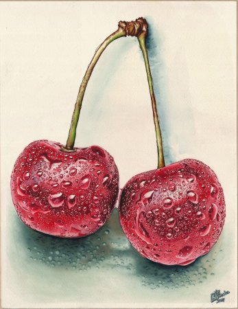 Вишня акварелью