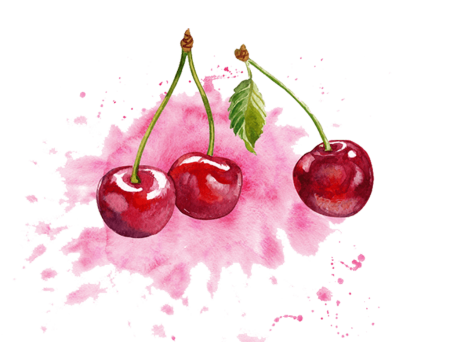 Вишня акварелью