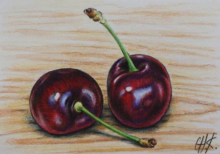 Вишня акварелью