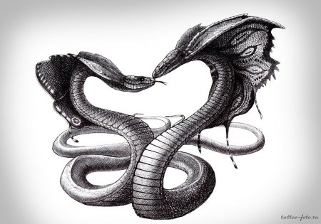 Аспид и Василиск