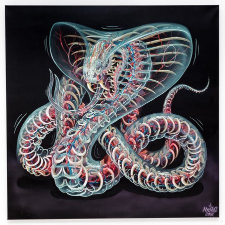 Nychos художник змеи