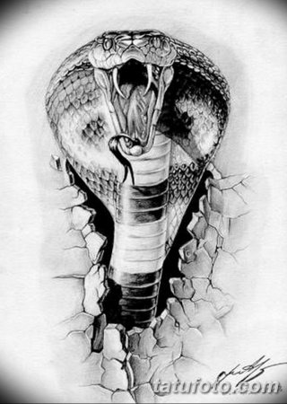 Кобра тату эскиз