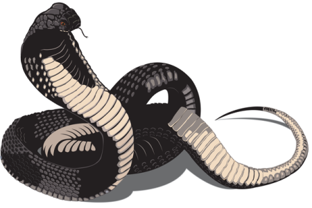 Очковая змея арт