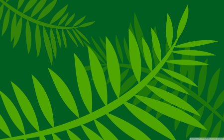 Пальмовые листья Минимализм