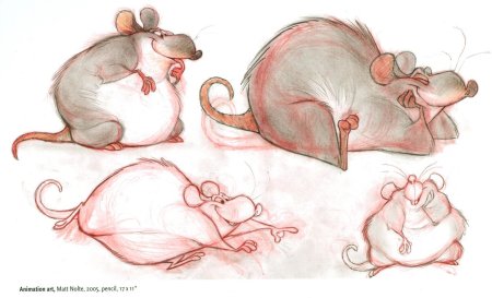 Анатомия мышки