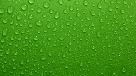 Зеленый фон