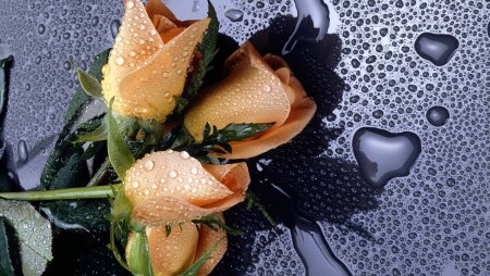 Красивые обои на рабочий Сток