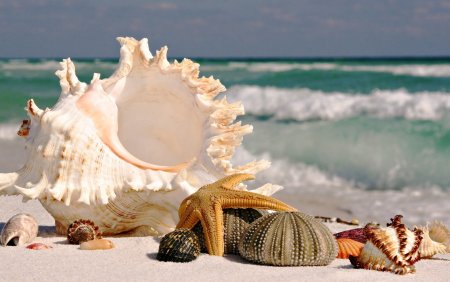 Красивое море
