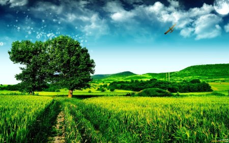 Clean Air in nature