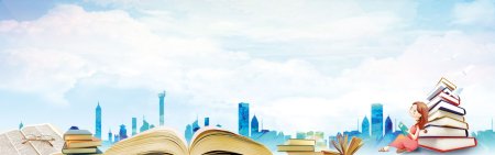 Баннер книги