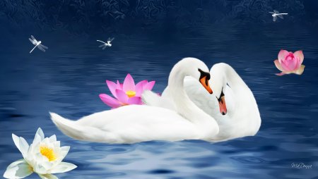 Лебеди фон