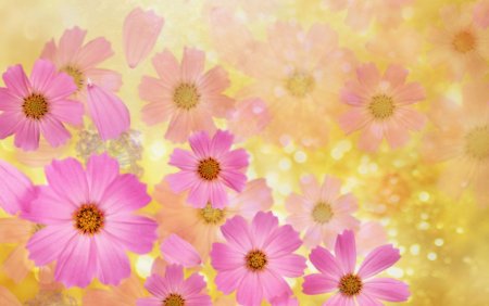 Фон для презентации цветы