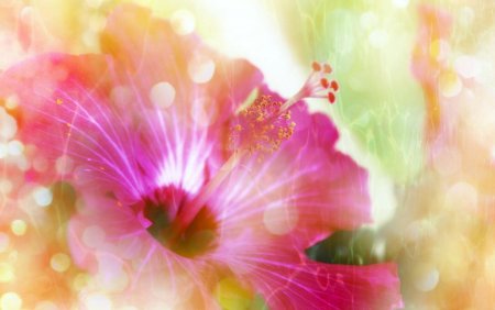 Волшебный цветочный фон