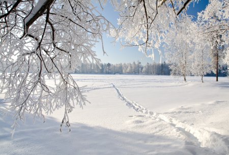 Зима снег
