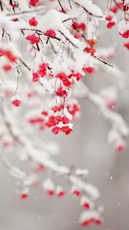 Зимний фон