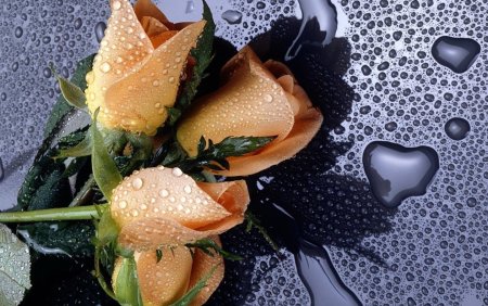 Красивые обои на рабочий Сток