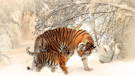 Черно белые заставки