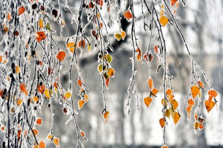 Поздняя осень