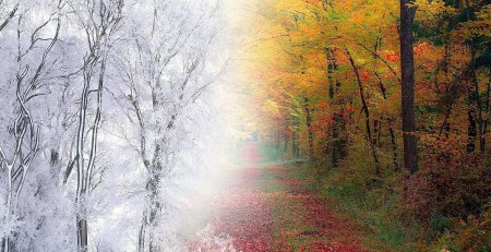 Россонь зима