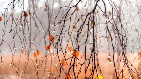 Дождливая осень