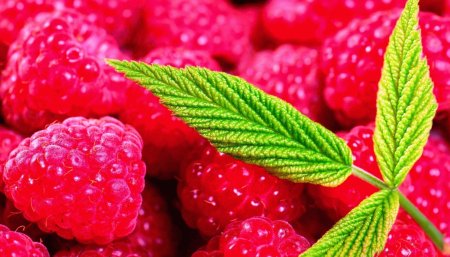 Летние картинки на рабочий стол