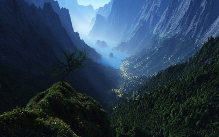 Горы ущелье Долина лес
