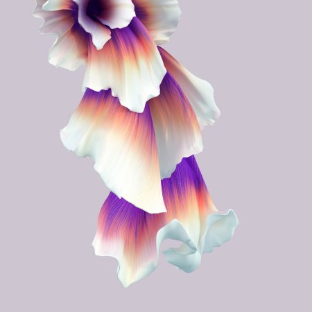 Обои на хонор 8х красивые