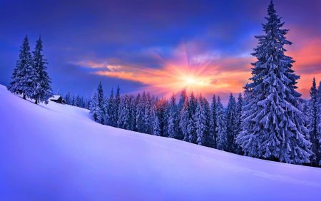 Зимняя природа