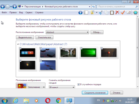 Обои разноцветное дерево